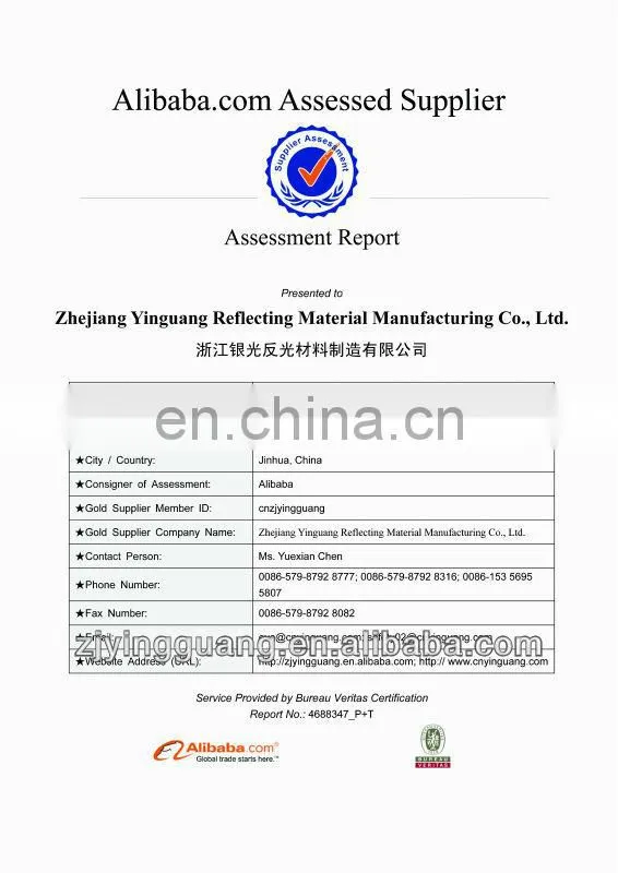 E-mark Certificated Flashing Light Warning Triangle