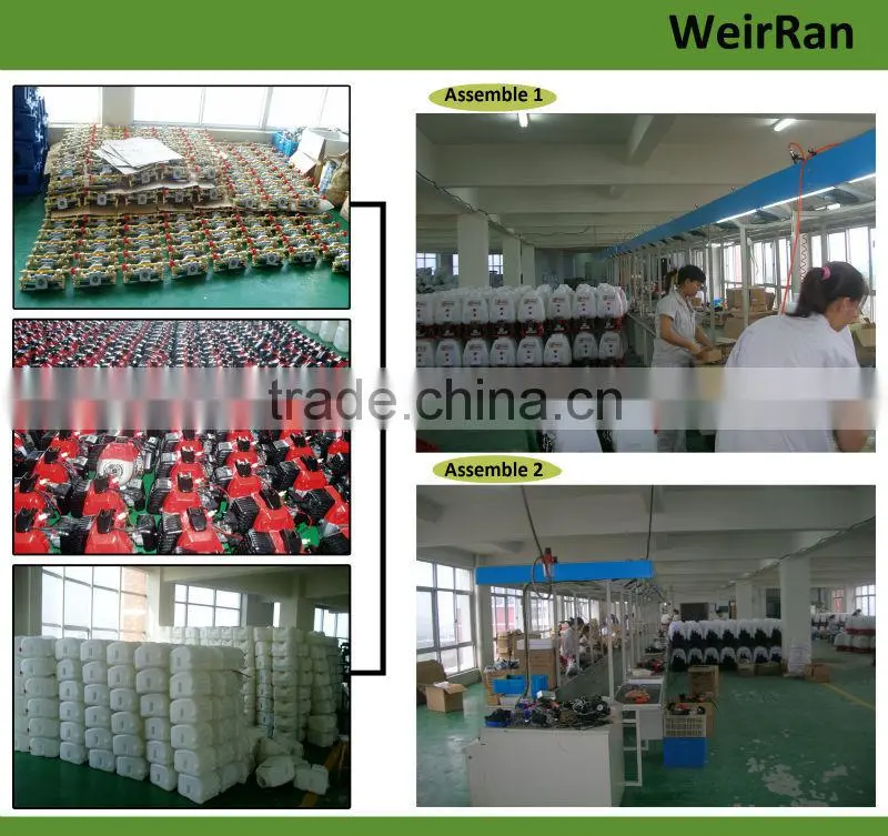 (705) 25L agriculture two stroke engine knapsack gasoline power sprayer