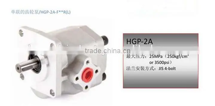 China hydraulic gear motor