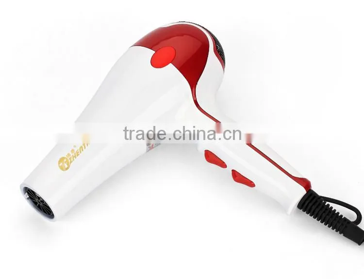 Professional Salon Hair Dryer Bathroom Mounting Hair Dryer Blow Dryer