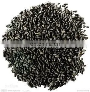 Widely used peanuts roaster/cashew sunflower seeds roasting machine/small nut roasting machine for sale
