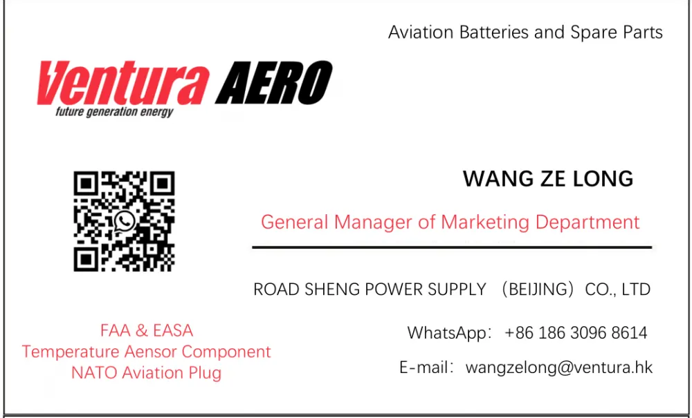 WANG ZE LONG Aircraft battery