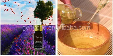 Clove Oil Extraction Nature Plant Extract Clove Essential Oil Extraction Machine