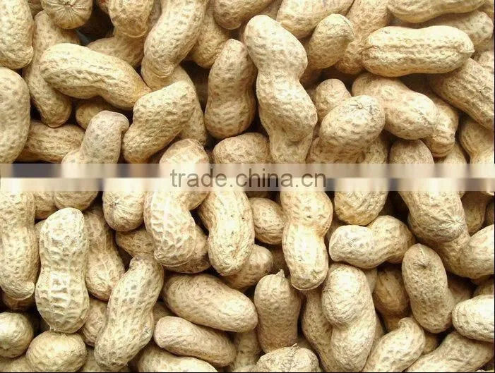 chinese raw peanut in shell