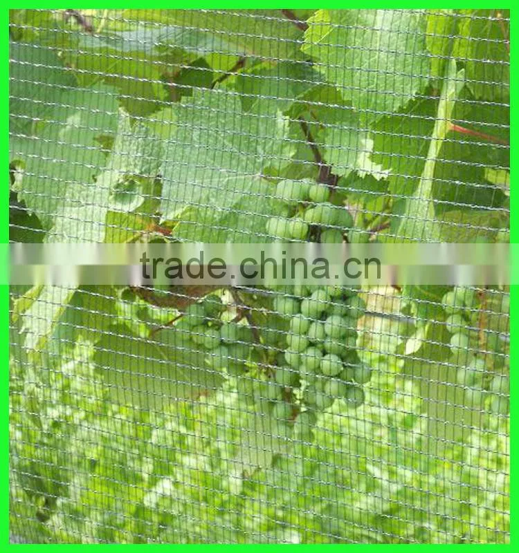 Clear anti bird hail cover net/uv resistance woven mesh net/reinforced hail guard net
