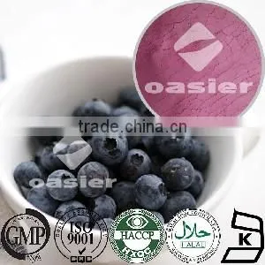 Fruits Containing Vitamin European supplier Hi-producing Vaccinium uliginosum L Blueberry Fruit Powder