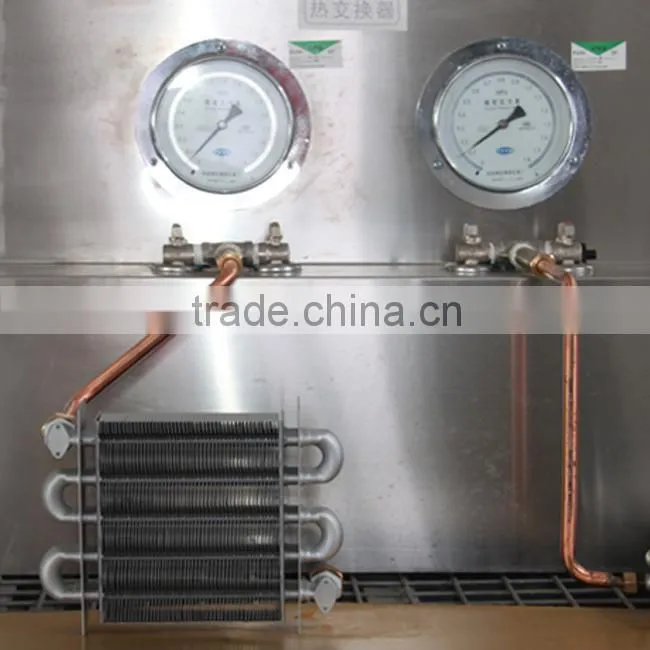 Gas water heater
