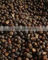 Pure Juniper Berry Oil