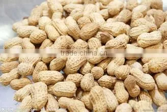 Automatic peanut picker machine/ High efficiency peanut picking machine