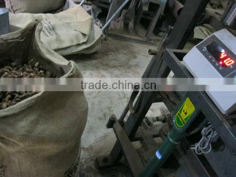 Galangal root export to Sudan