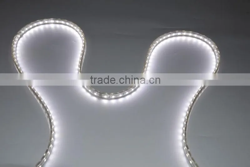 Outdoor Use Tube Around Waterproof SMD3528 110 Volt Led Light Strip