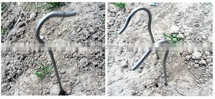 Camping Tent and Titanium Tent Peg/Titanium Pegs