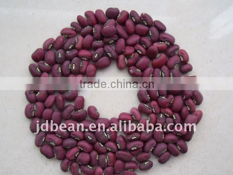 2013 new crop Red cowpeas beans