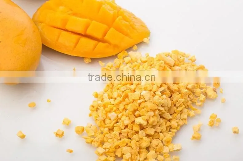 Natural Freeze Dried Mango