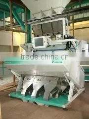 Dhaval Agri Exports company overview - view 1