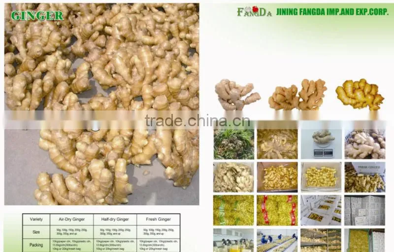 new crop of ginger/Europe quality level