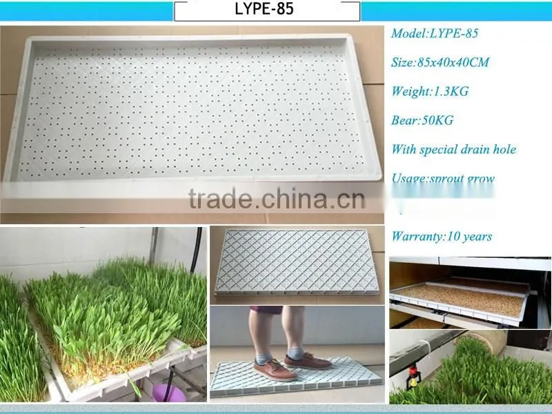 2017 Wholesale supply 1000kg/day hydroponic fodder machine
