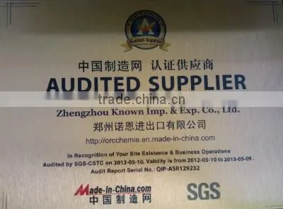 AUDIT REPORT