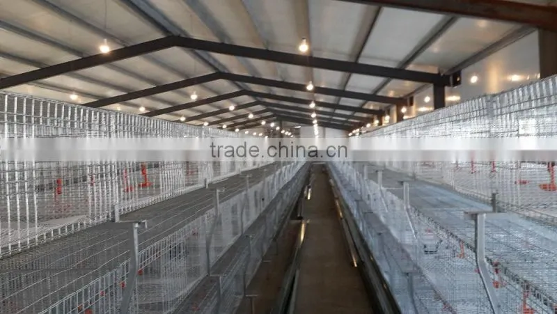 H- type 3 tiers hot -drip Galvanized layer chicken battery cage