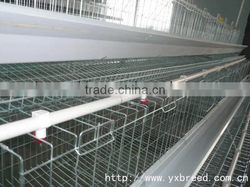 sheds for poultry farm in automatic operation