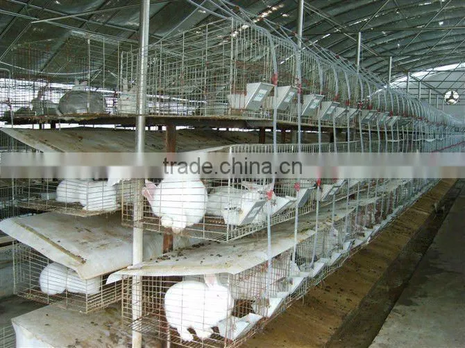Galvanized rabbit cage from dircet factory