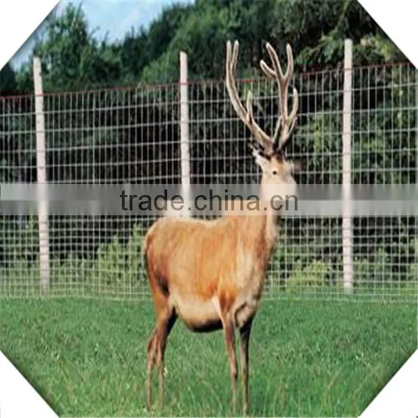 high zinc coated galvanized field fence for sale / galvanized sheep fence for sale
