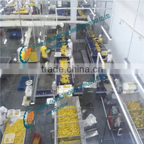 canned fruit and vegetables making/processing production line