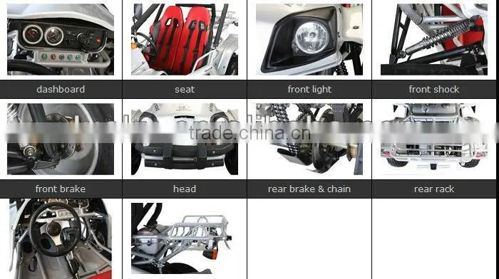 EEC 250cc CVT transmission Beach Buggy