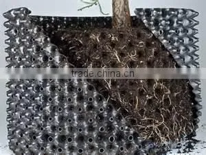 agriculture fixed root pruning container for young tree