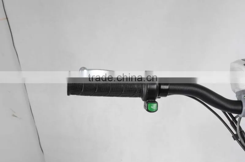 OEM hot sell 36V 250W guewer electric bike women, city electric bike