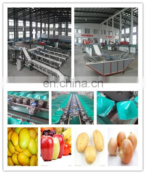 Two Types to Choose Blueberry Sorting Machine/Blueberry Sorter/Blueberry Grading Machine