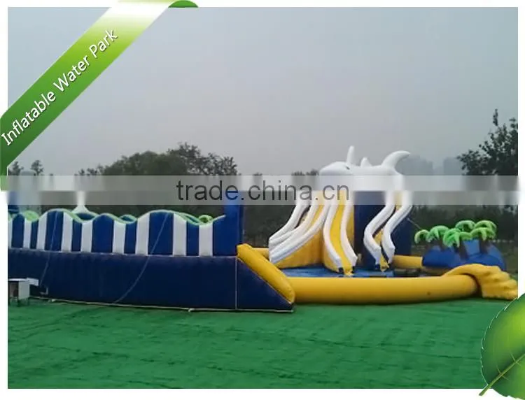 New Point PVC Shark Theme Inflatable Water Park