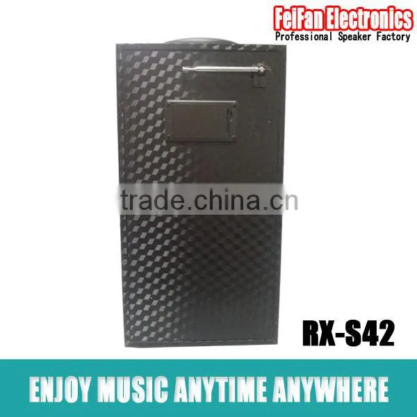 Top Sale 4.0 Inch Wooden Speaker With Fm Radio