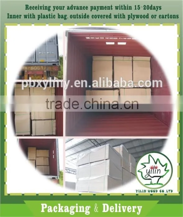 Hot sale ply wood poplar eucalyptus timber venner core plywood prices