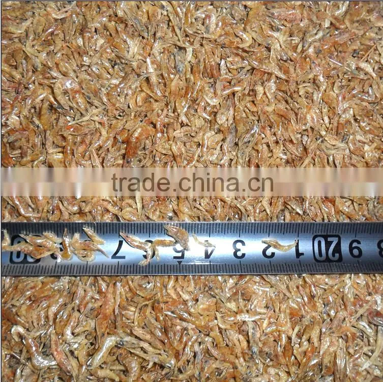 Top quality dry shrimp // fish food dried shrimp