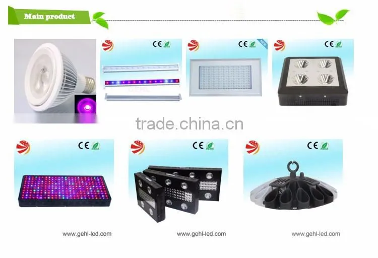 Hydroponic systems E27 PAR38 led light bulbs for tiny houses using