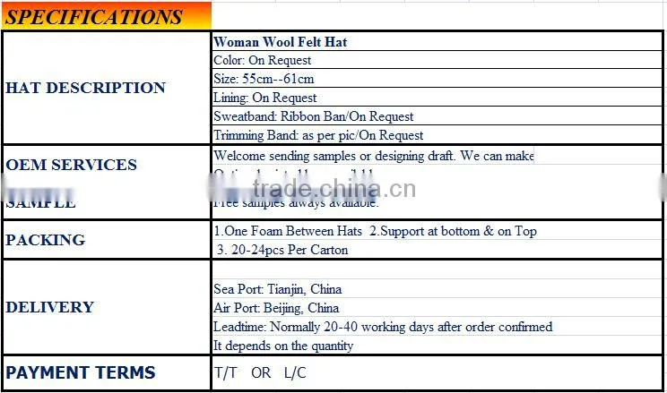 Ladies stylish wool felt hat Fedora