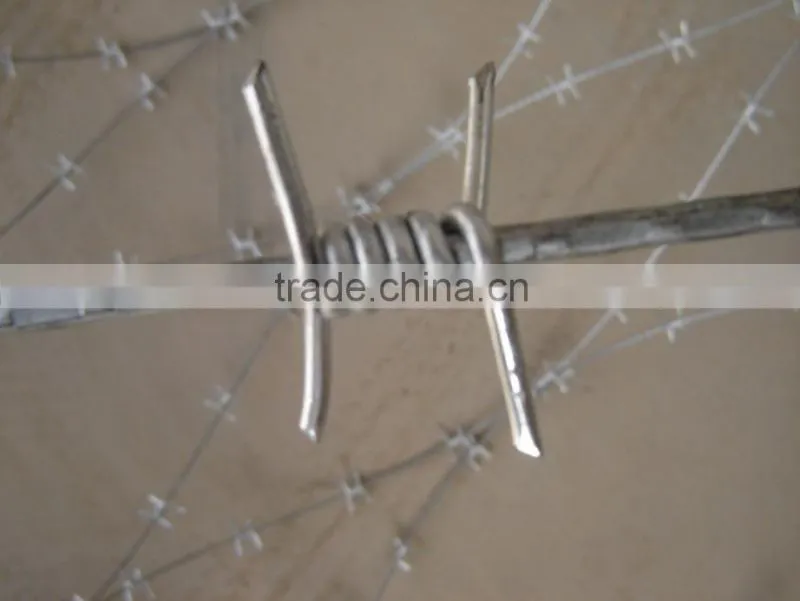 Guangzhou manufacture barbed wire roll price fence