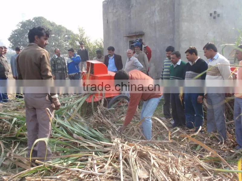 6BZ-5 sugarcane top removing machine/sugarcane leaf removing machine for sale