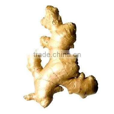 Ginger Oleoresin