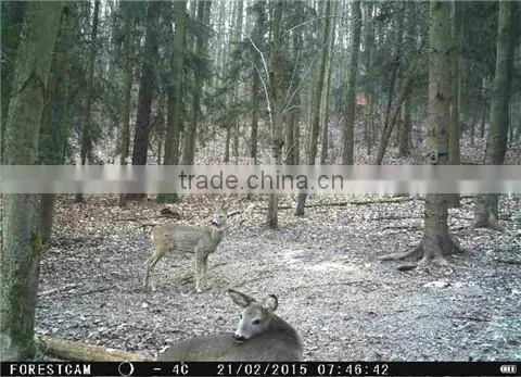 12MP Scouting Hunting Camera HD GPRS MMS Digital Infrared Trail camera GSM IR LED With Wireless Remote Control