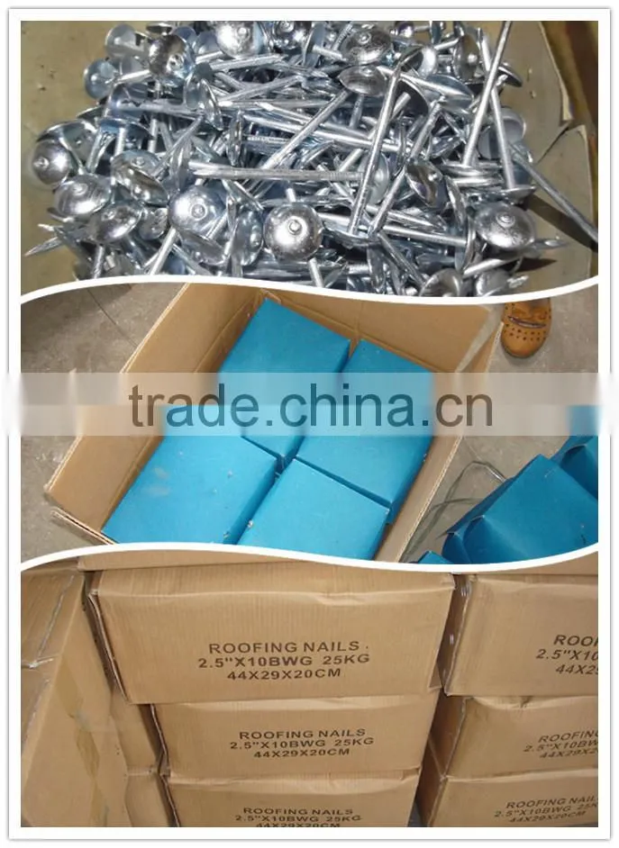 high quality Umbrella head roofing nails