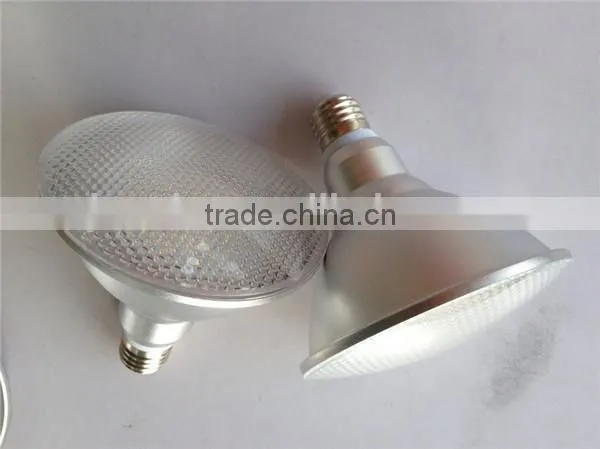 Spotlights Item Type and warm white / cool white Color Temperature(CCT) Led Par30