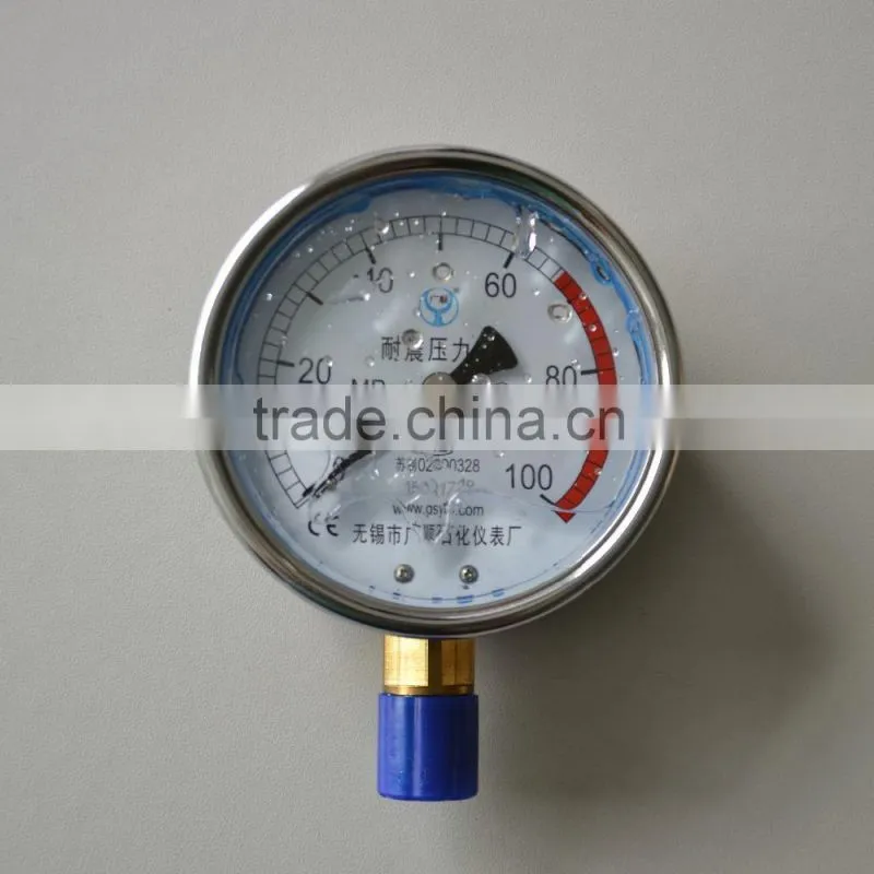 WLQ 70/70,80/50 SERIES HIGH PRESSURE MACHINES Oil-filled anti vibration-type pressure gauge