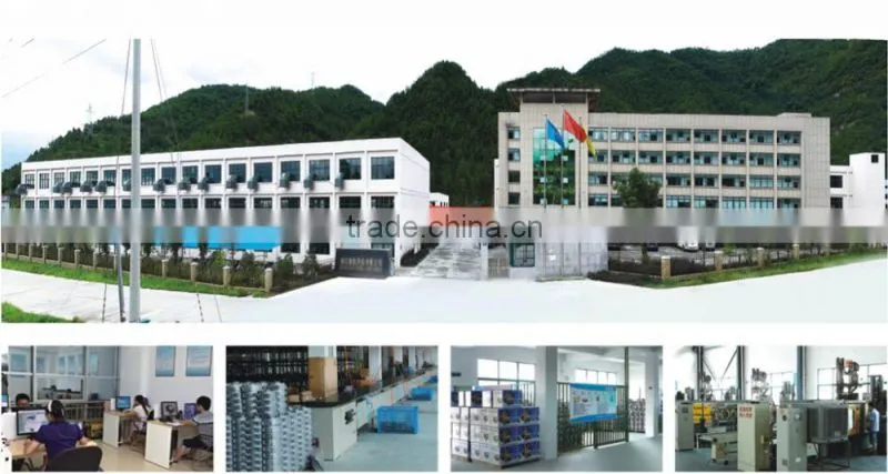 China Specialize Manufacturer 2 Inch Petrol Electric Water Pump for Irrigating