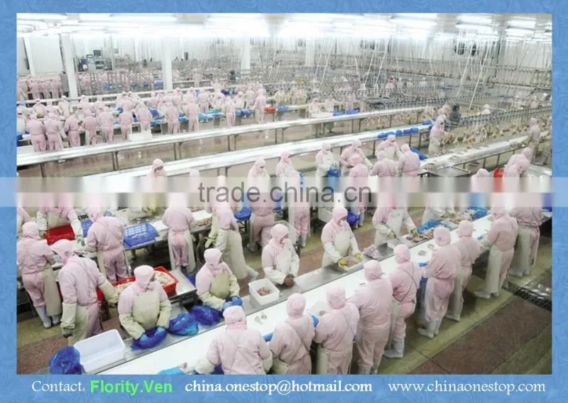 Poultry Slaughtering Equipment in Slaughtering Equipment/Poultry Slaughter