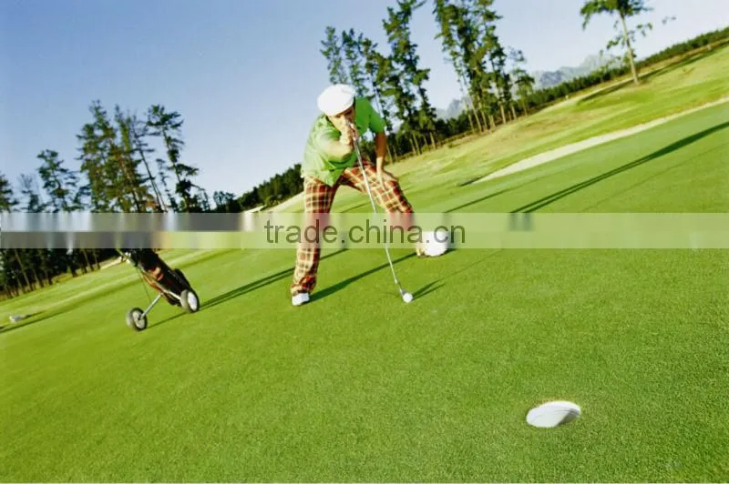 Synthetic grass for golf puting grass