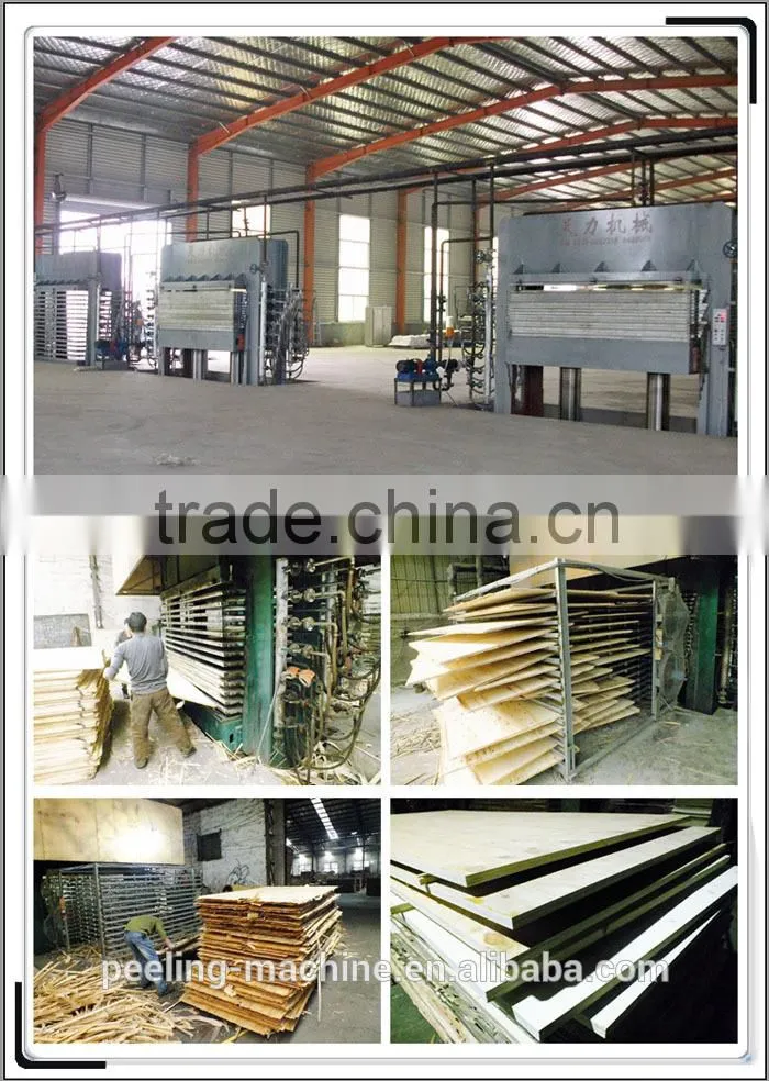 china famous brand short cycle high quality plywood hot press machine