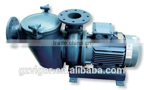 swimming pool pump / pool pumps