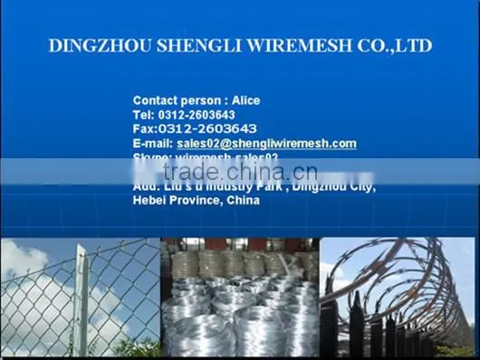 2.5" common wire nails manufacturer